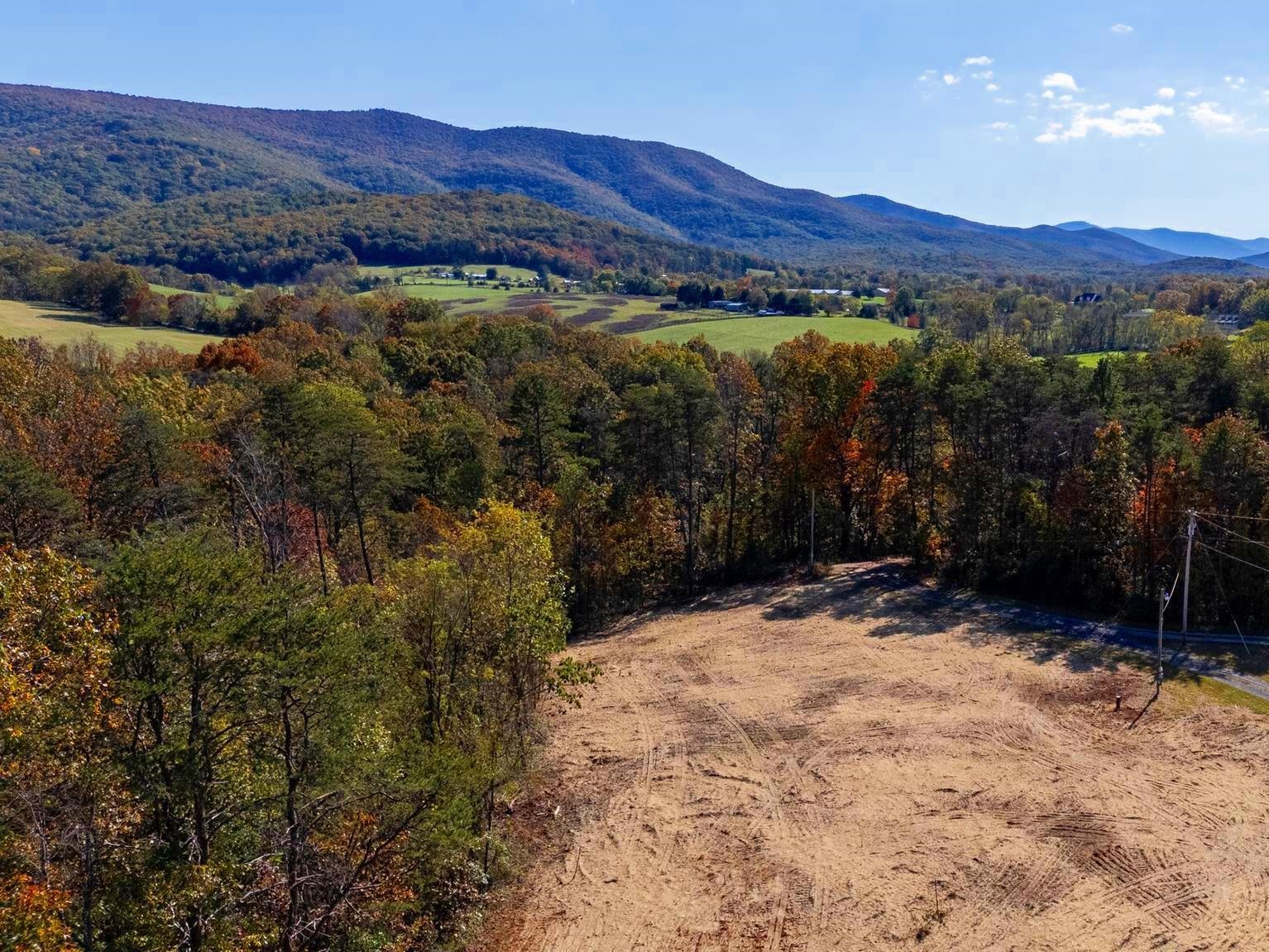 Lot 2 YOUNG RD, RILEYVILLE, Virginia 22650, ,Land,Lot 2 YOUNG RD,670972 MLS # 670972 Lot 2 YOUNG RD, RILEYVILLE, Virginia 22650, ,Land,Lot 2 YOUNG RD,670972 MLS # 670972