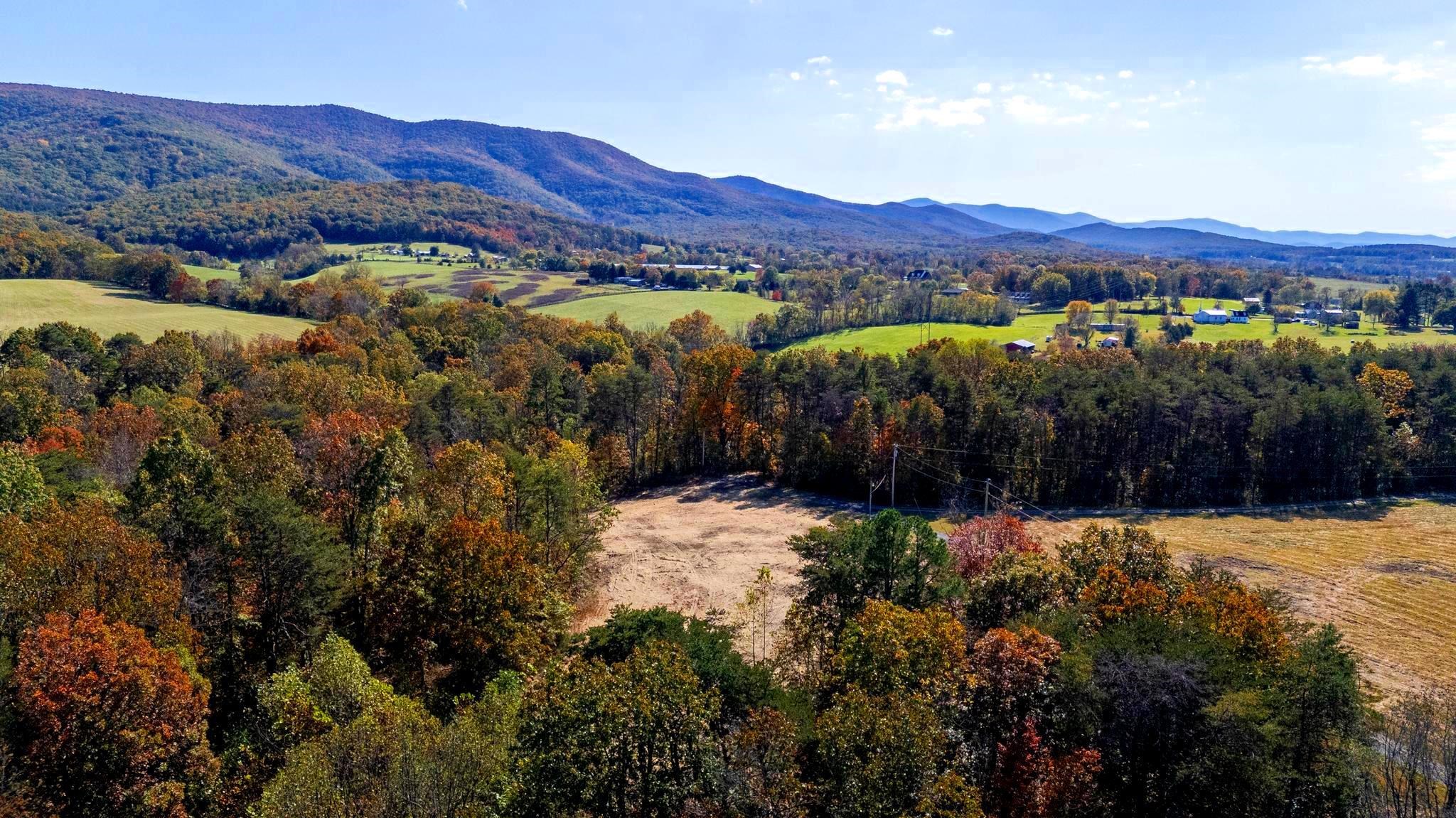 Lot 2 YOUNG RD, RILEYVILLE, Virginia 22650, ,Land,Lot 2 YOUNG RD,670972 MLS # 670972 Lot 2 YOUNG RD, RILEYVILLE, Virginia 22650, ,Land,Lot 2 YOUNG RD,670972 MLS # 670972