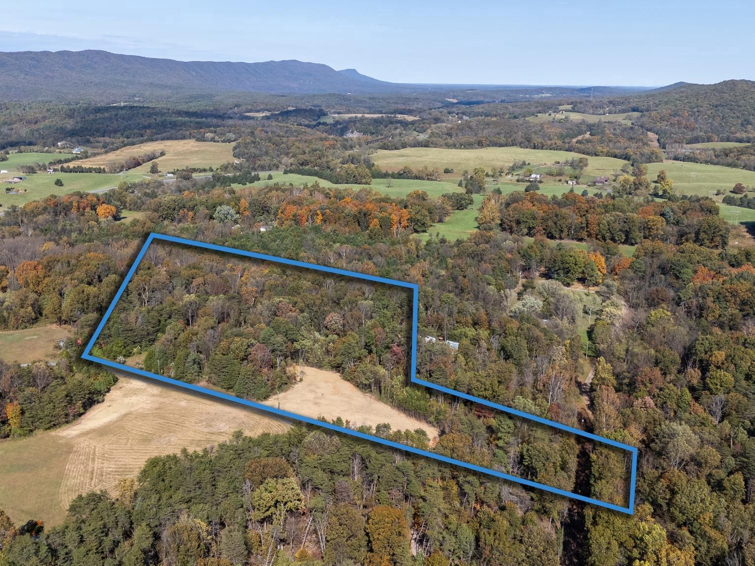 Lot 2 YOUNG RD, RILEYVILLE, Virginia 22650, ,Land,Lot 2 YOUNG RD,670972 MLS # 670972 Lot 2 YOUNG RD, RILEYVILLE, Virginia 22650, ,Land,Lot 2 YOUNG RD,670972 MLS # 670972