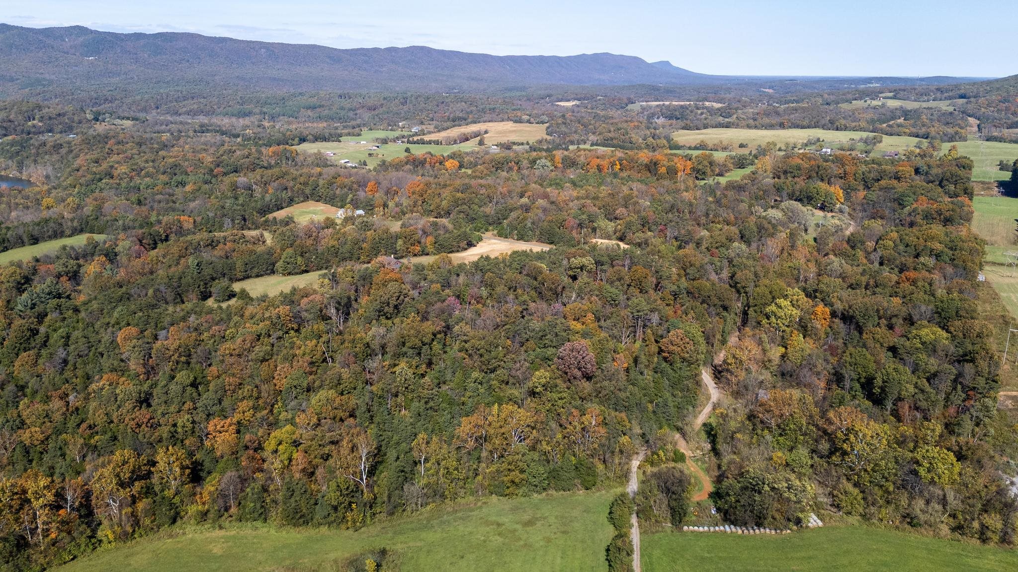 Lot 2 YOUNG RD, RILEYVILLE, Virginia 22650, ,Land,Lot 2 YOUNG RD,670972 MLS # 670972 Lot 2 YOUNG RD, RILEYVILLE, Virginia 22650, ,Land,Lot 2 YOUNG RD,670972 MLS # 670972