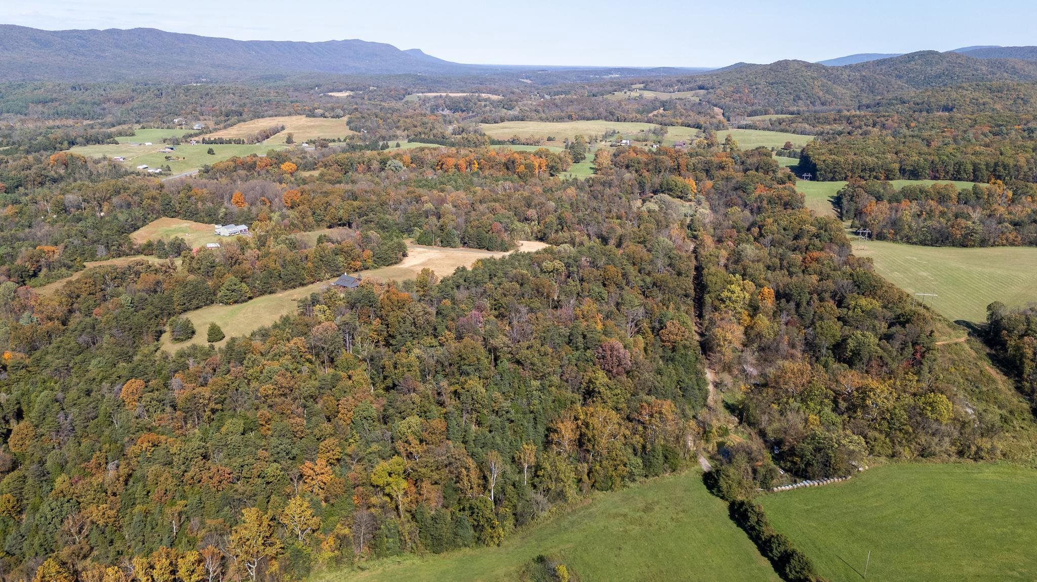 Lot 2 YOUNG RD, RILEYVILLE, Virginia 22650, ,Land,Lot 2 YOUNG RD,670972 MLS # 670972 Lot 2 YOUNG RD, RILEYVILLE, Virginia 22650, ,Land,Lot 2 YOUNG RD,670972 MLS # 670972