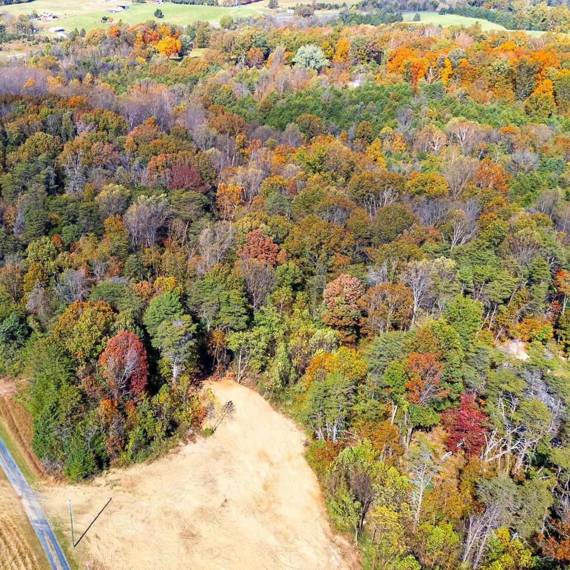 Lot 2 YOUNG RD, RILEYVILLE, Virginia 22650, ,Land,Lot 2 YOUNG RD,670972 MLS # 670972 Lot 2 YOUNG RD, RILEYVILLE, Virginia 22650, ,Land,Lot 2 YOUNG RD,670972 MLS # 670972