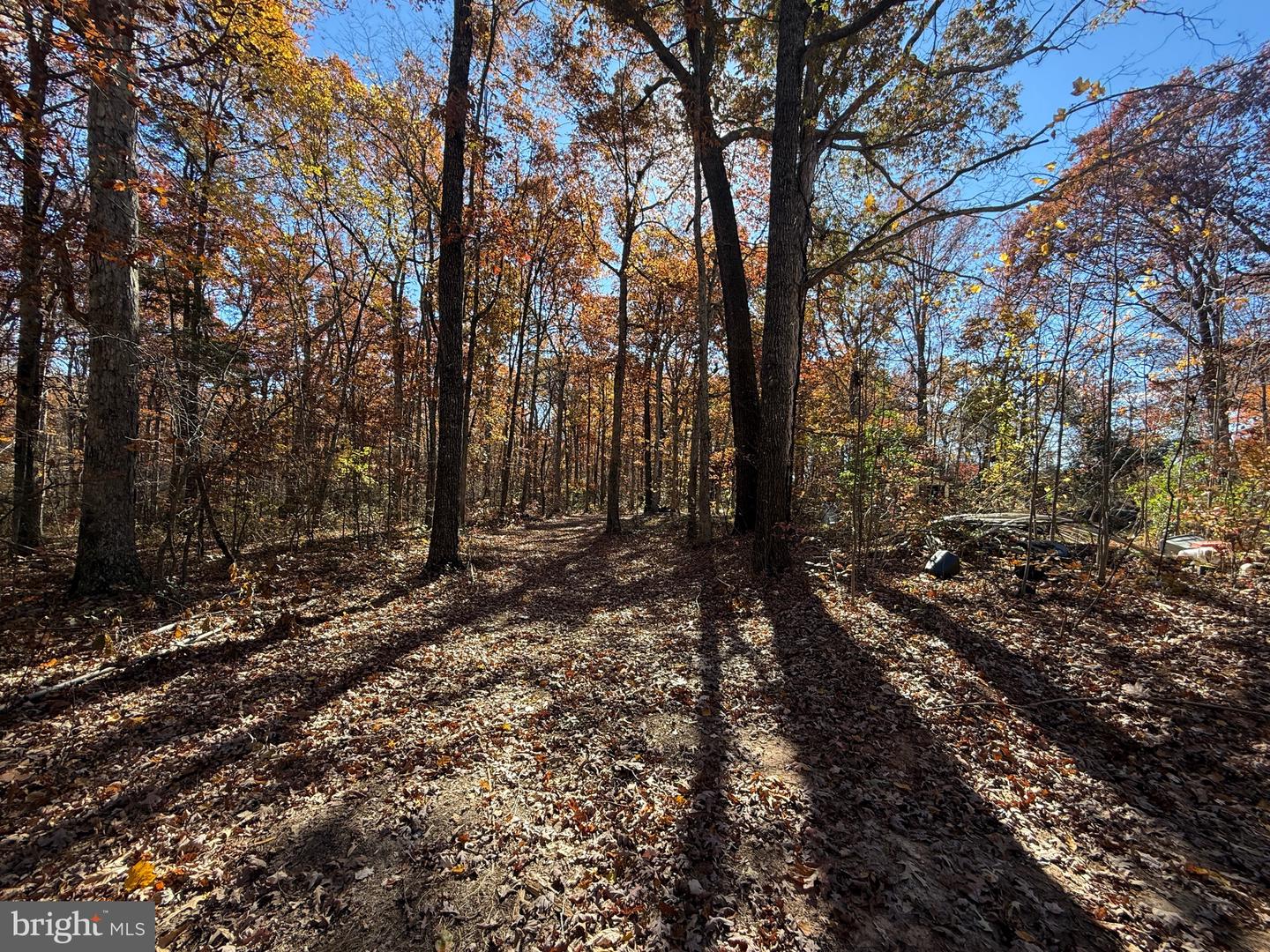 11400 RAILROAD LN, LOCUST GROVE, Virginia 22508, ,Land,For sale,11400 RAILROAD LN,VASP2036188 MLS # VASP2036188