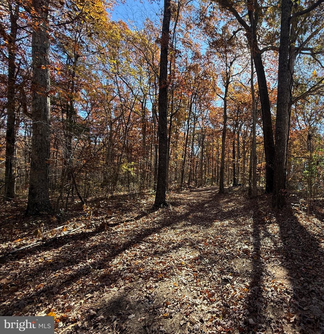 11400 RAILROAD LN, LOCUST GROVE, Virginia 22508, ,Land,For sale,11400 RAILROAD LN,VASP2036188 MLS # VASP2036188