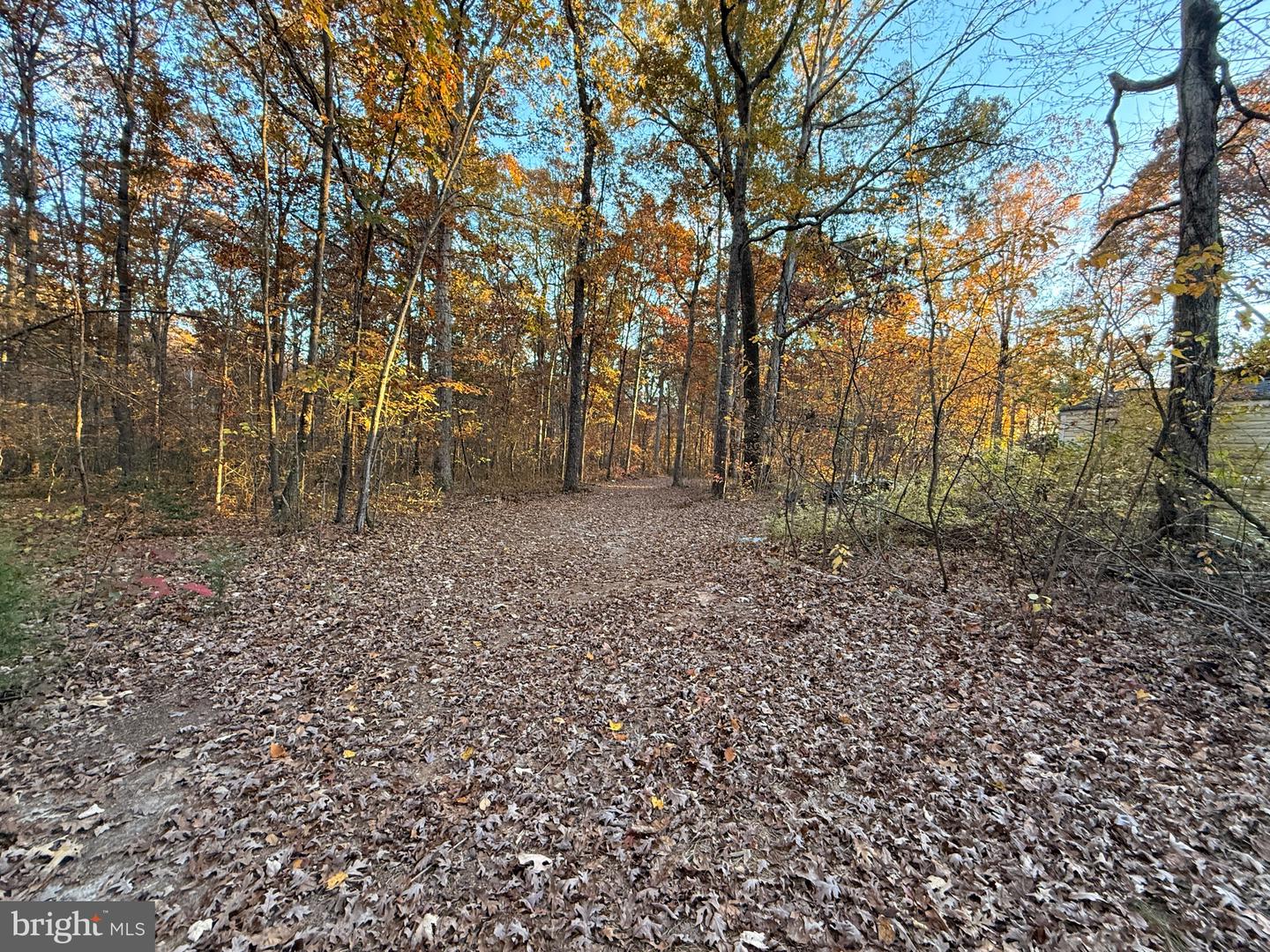 11400 RAILROAD LN, LOCUST GROVE, Virginia 22508, ,Land,For sale,11400 RAILROAD LN,VASP2036188 MLS # VASP2036188