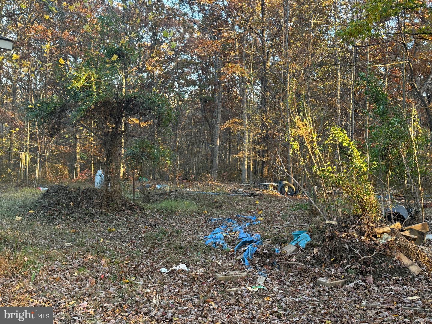 11400 RAILROAD LN, LOCUST GROVE, Virginia 22508, ,Land,For sale,11400 RAILROAD LN,VASP2036188 MLS # VASP2036188