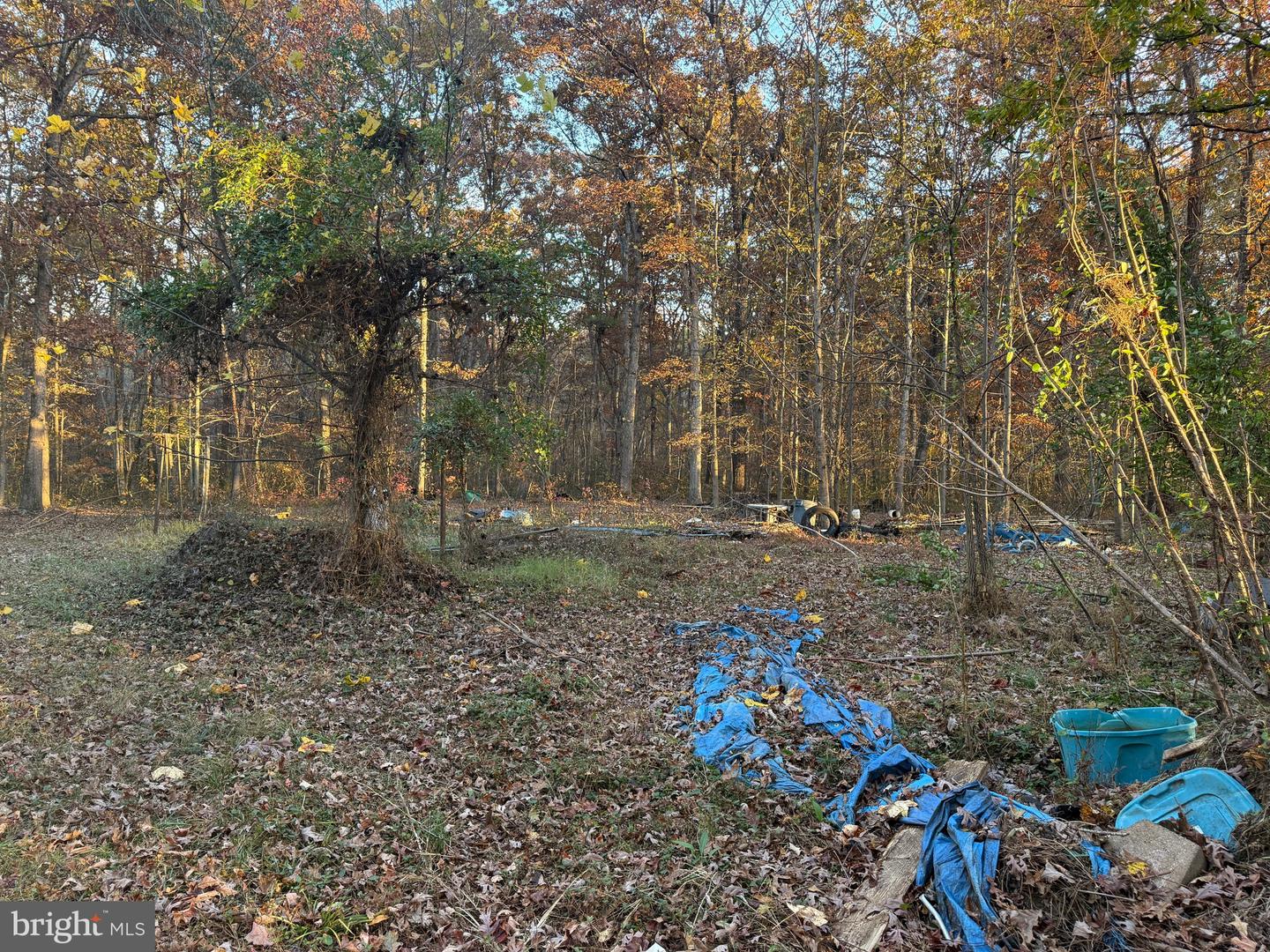 11400 RAILROAD LN, LOCUST GROVE, Virginia 22508, ,Land,For sale,11400 RAILROAD LN,VASP2036188 MLS # VASP2036188