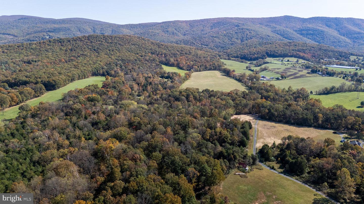 LOTS 1 & 2 YOUNG RD, RILEYVILLE, Virginia 22650, ,Land,For sale,LOTS 1 & 2 YOUNG RD,VAPA2005548 MLS # VAPA2005548 LOTS 1 & 2 YOUNG RD, RILEYVILLE, Virginia 22650, ,Land,For sale,LOTS 1 & 2 YOUNG RD,VAPA2005548 MLS # VAPA2005548