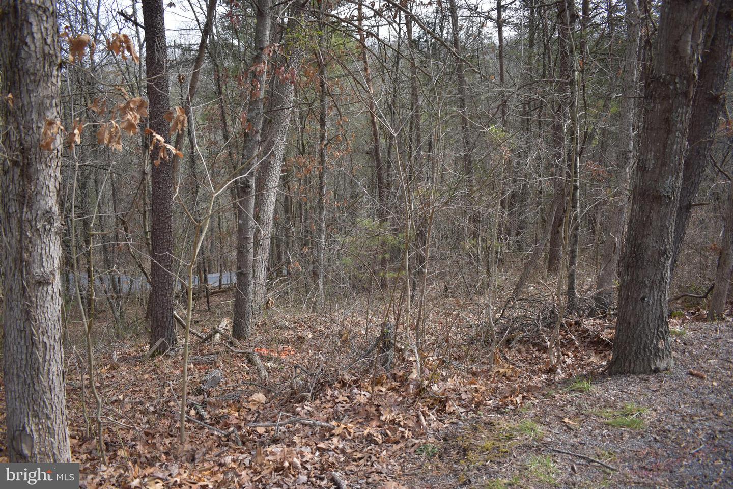 TBD COTTONWOOD RD, MOUNT JACKSON, Virginia 22842, ,Land,For sale,TBD COTTONWOOD RD,VASH2012970 MLS # VASH2012970
