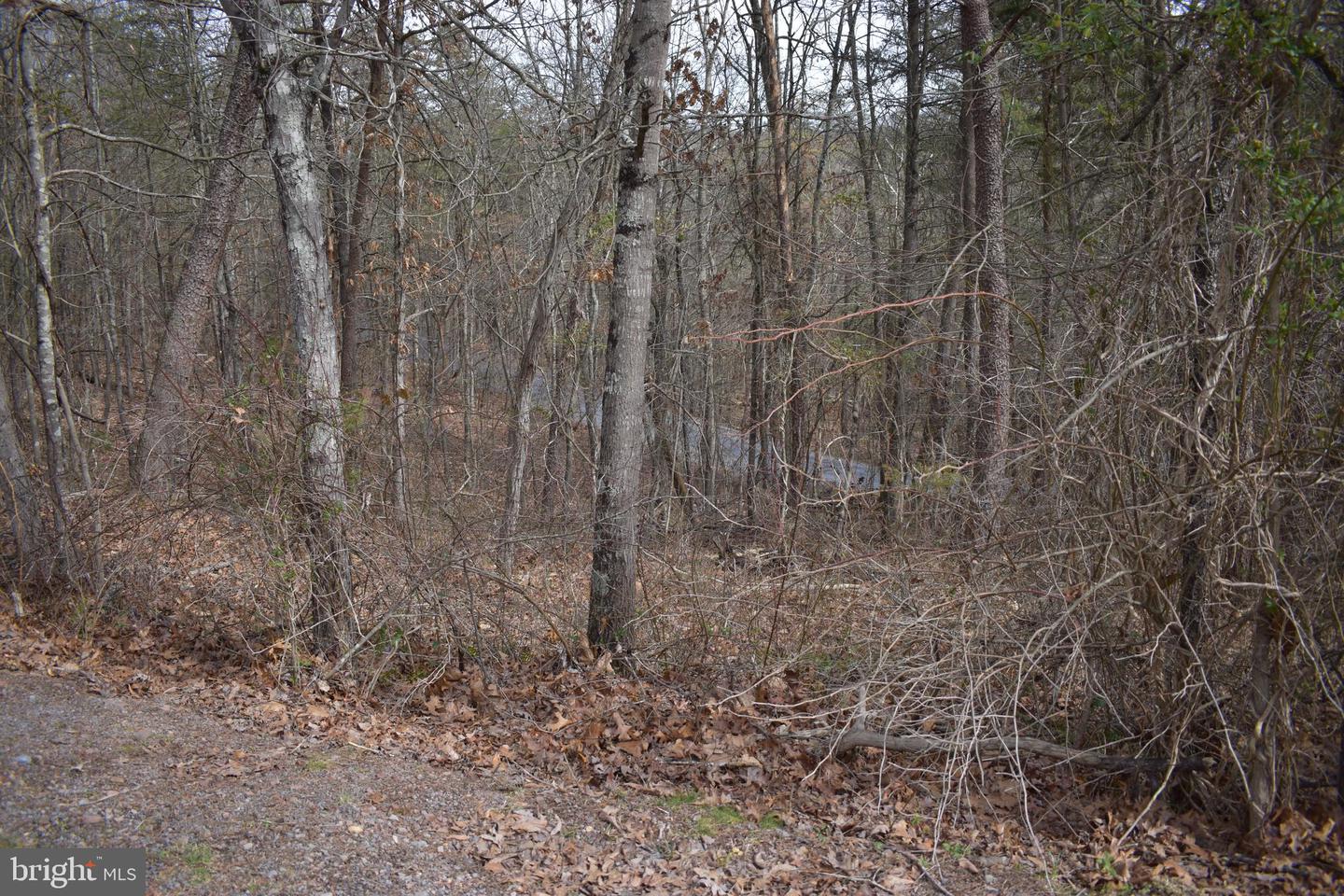 TBD COTTONWOOD RD, MOUNT JACKSON, Virginia 22842, ,Land,For sale,TBD COTTONWOOD RD,VASH2012970 MLS # VASH2012970