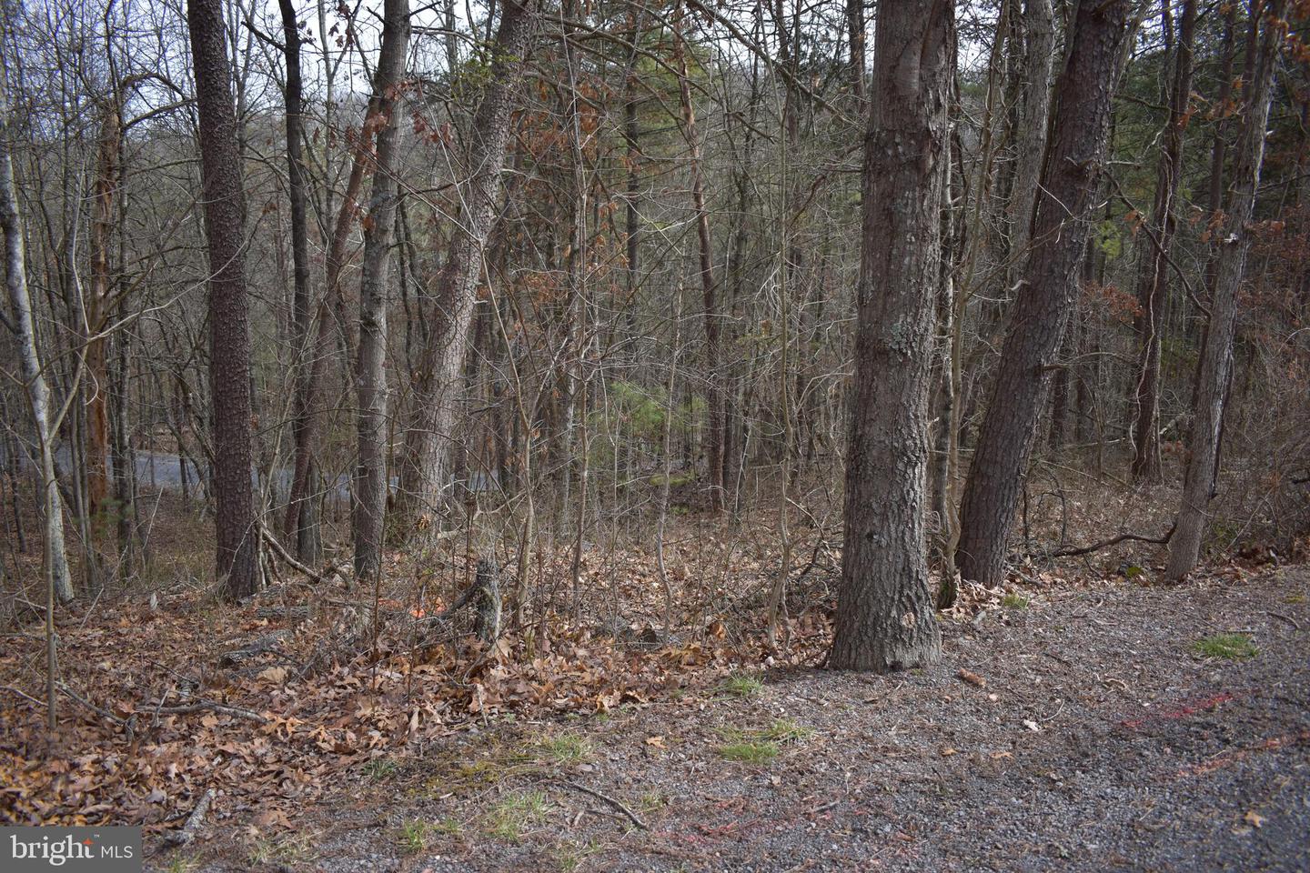 TBD COTTONWOOD RD, MOUNT JACKSON, Virginia 22842, ,Land,For sale,TBD COTTONWOOD RD,VASH2012970 MLS # VASH2012970