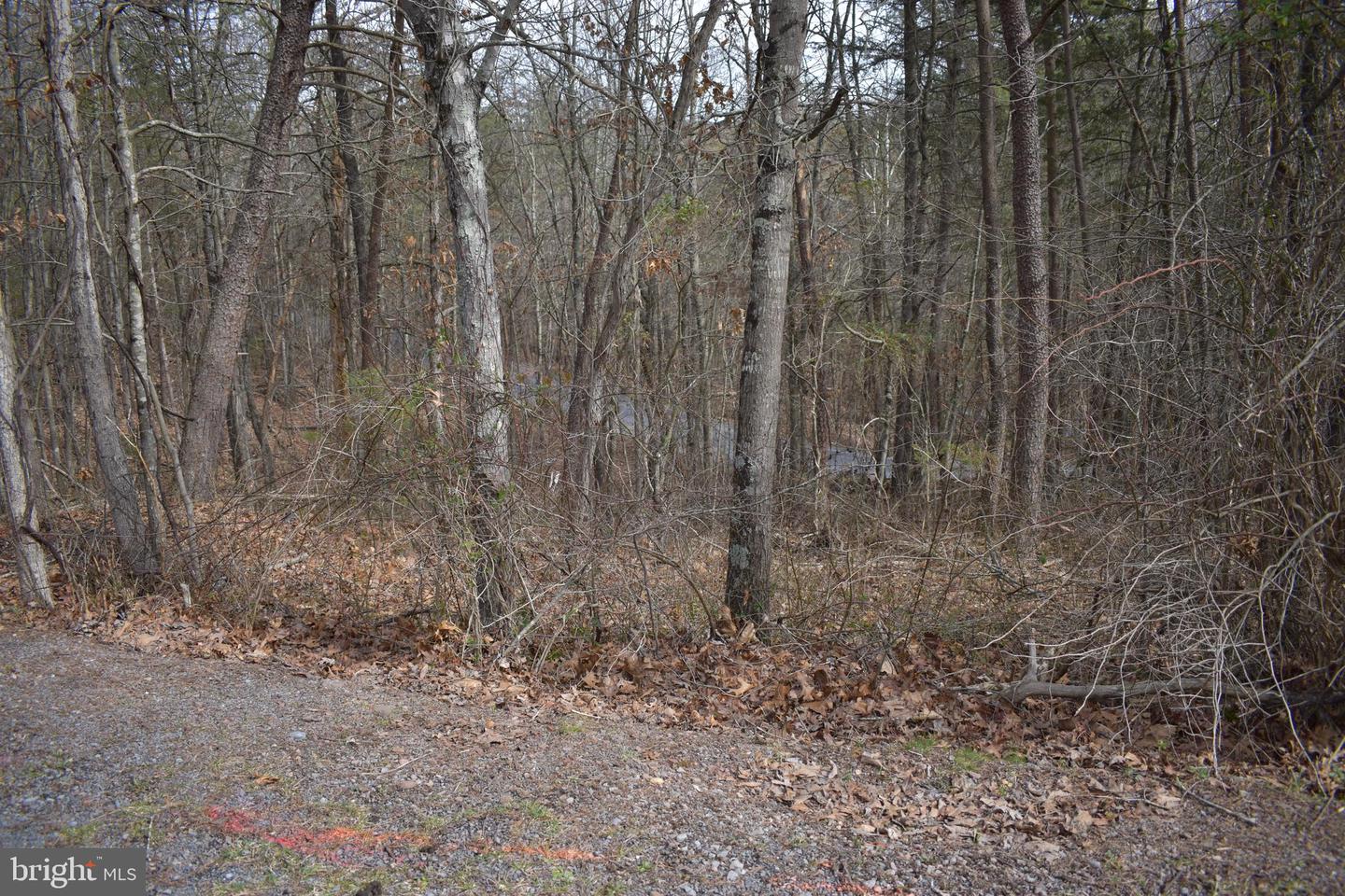 TBD COTTONWOOD RD, MOUNT JACKSON, Virginia 22842, ,Land,For sale,TBD COTTONWOOD RD,VASH2012970 MLS # VASH2012970