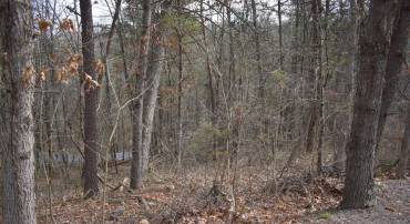 TBD COTTONWOOD RD, MOUNT JACKSON, Virginia 22842, ,Land,For sale,TBD COTTONWOOD RD,VASH2012970 MLS # VASH2012970