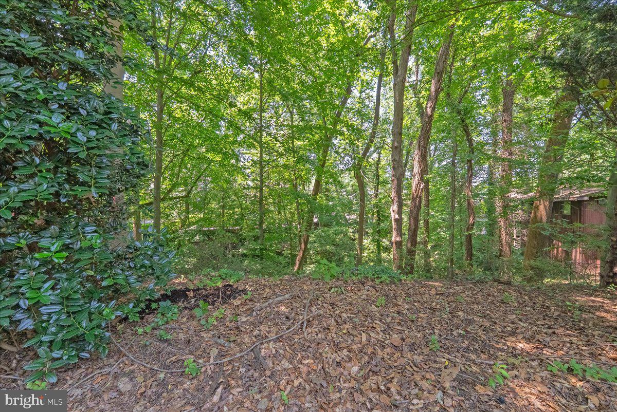 4019 N RANDOLPH ST, ARLINGTON, Virginia 22207, ,Land,For sale,4019 N RANDOLPH ST,VAAR2065960 MLS # VAAR2065960