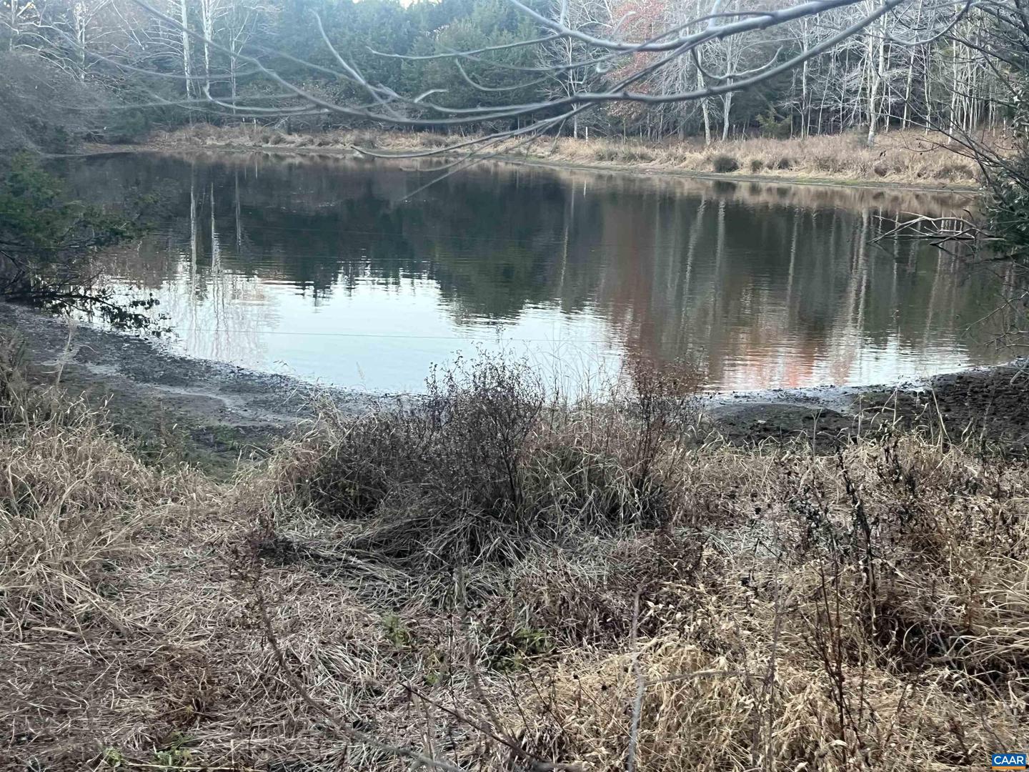 0 MITCHELL FORD RD, LIGNUM, Virginia 22726, ,Farm,For sale,0 MITCHELL FORD RD,670993 MLS # 670993