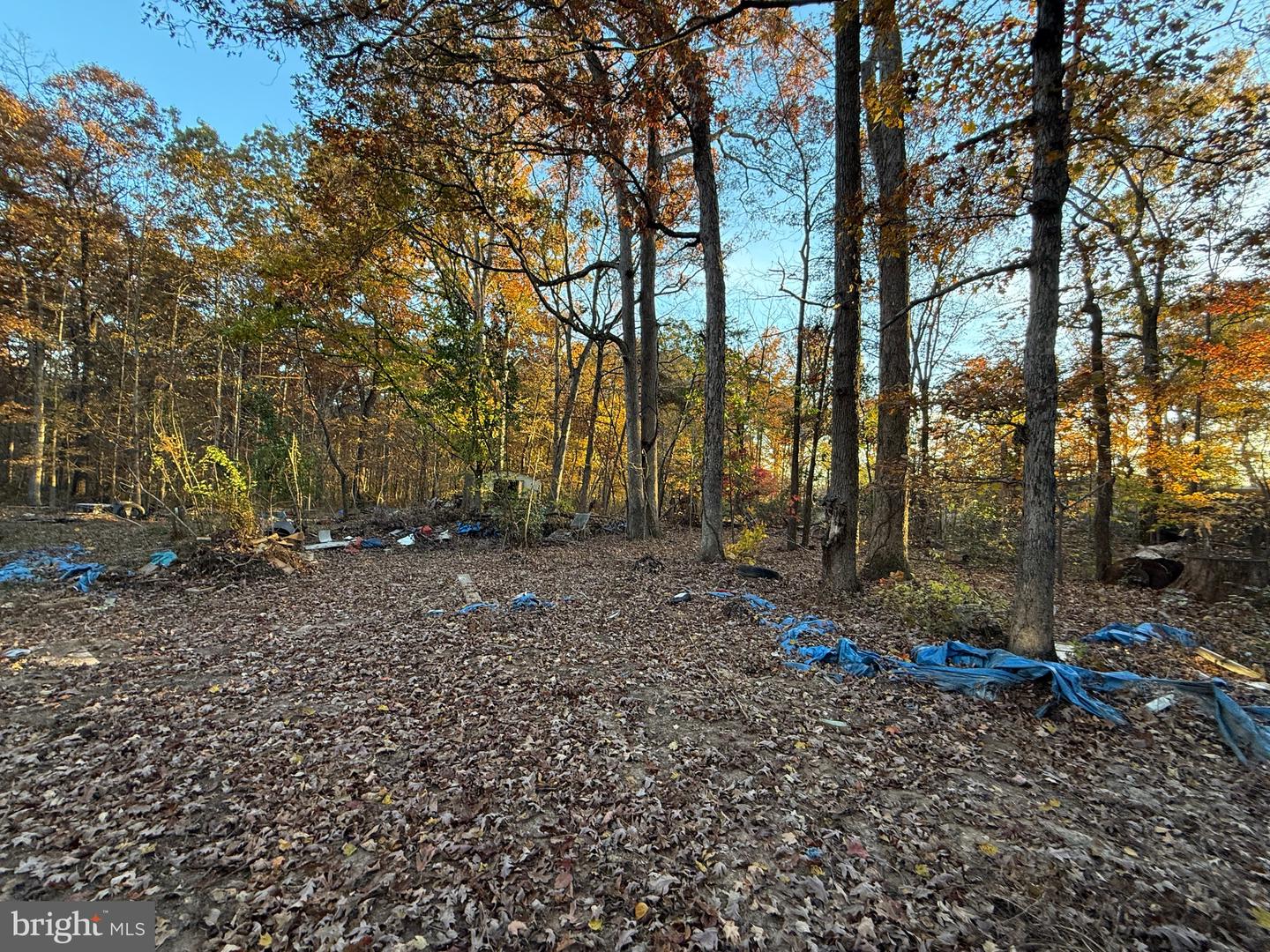 11400 RAILROAD LN, LOCUST GROVE, Virginia 22508, 3 Bedrooms Bedrooms, ,2 BathroomsBathrooms,Residential,For sale,11400 RAILROAD LN,VASP2036400 MLS # VASP2036400