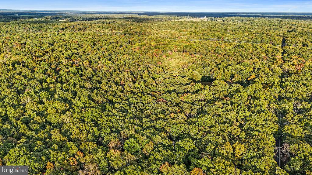 0 OLD PLANK RD, LOCUST GROVE, Virginia 22508, ,Land,For sale,0 OLD PLANK RD,VAOR2012528 MLS # VAOR2012528