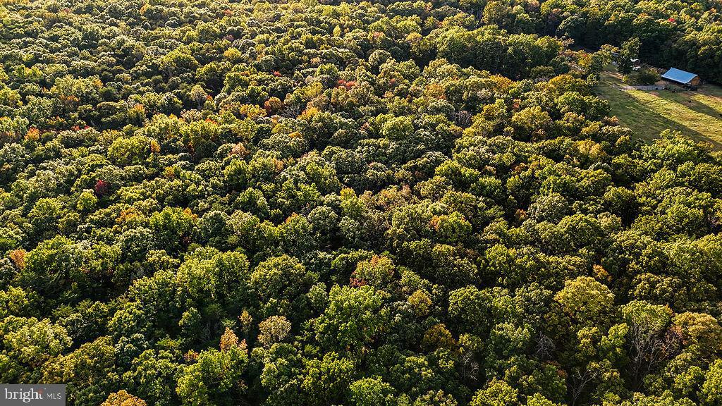 0 OLD PLANK RD, LOCUST GROVE, Virginia 22508, ,Land,For sale,0 OLD PLANK RD,VAOR2012528 MLS # VAOR2012528