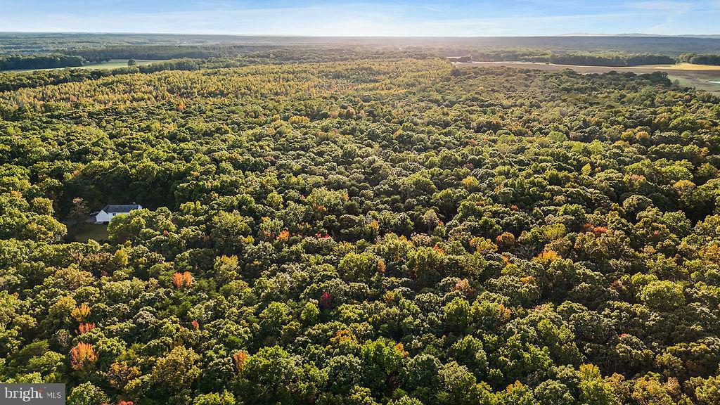 0 OLD PLANK RD, LOCUST GROVE, Virginia 22508, ,Land,For sale,0 OLD PLANK RD,VAOR2012528 MLS # VAOR2012528