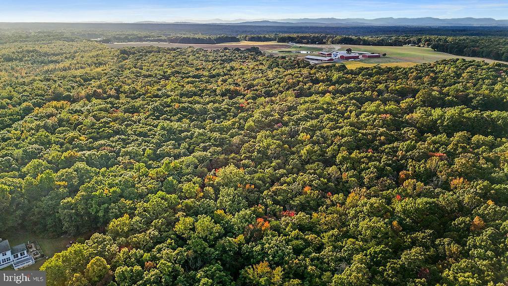 0 OLD PLANK RD, LOCUST GROVE, Virginia 22508, ,Land,For sale,0 OLD PLANK RD,VAOR2012528 MLS # VAOR2012528