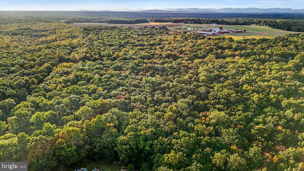 0 OLD PLANK RD, LOCUST GROVE, Virginia 22508, ,Land,For sale,0 OLD PLANK RD,VAOR2012528 MLS # VAOR2012528