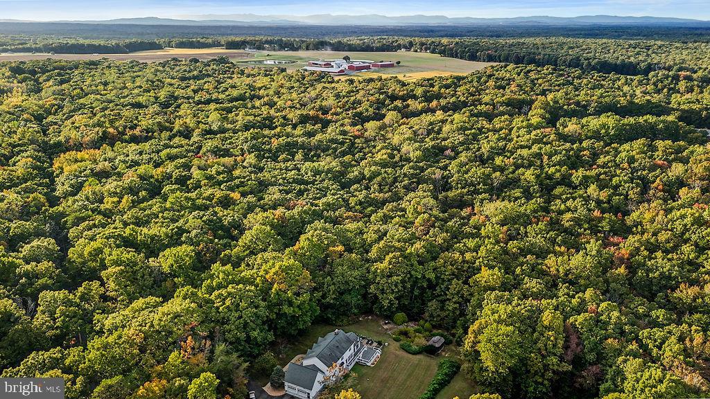 0 OLD PLANK RD, LOCUST GROVE, Virginia 22508, ,Land,For sale,0 OLD PLANK RD,VAOR2012528 MLS # VAOR2012528