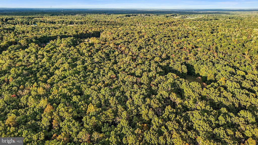 0 OLD PLANK RD, LOCUST GROVE, Virginia 22508, ,Land,For sale,0 OLD PLANK RD,VAOR2012528 MLS # VAOR2012528