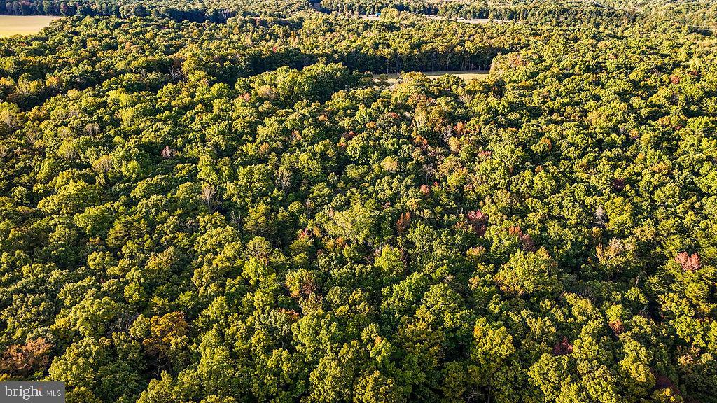 0 OLD PLANK RD, LOCUST GROVE, Virginia 22508, ,Land,For sale,0 OLD PLANK RD,VAOR2012528 MLS # VAOR2012528