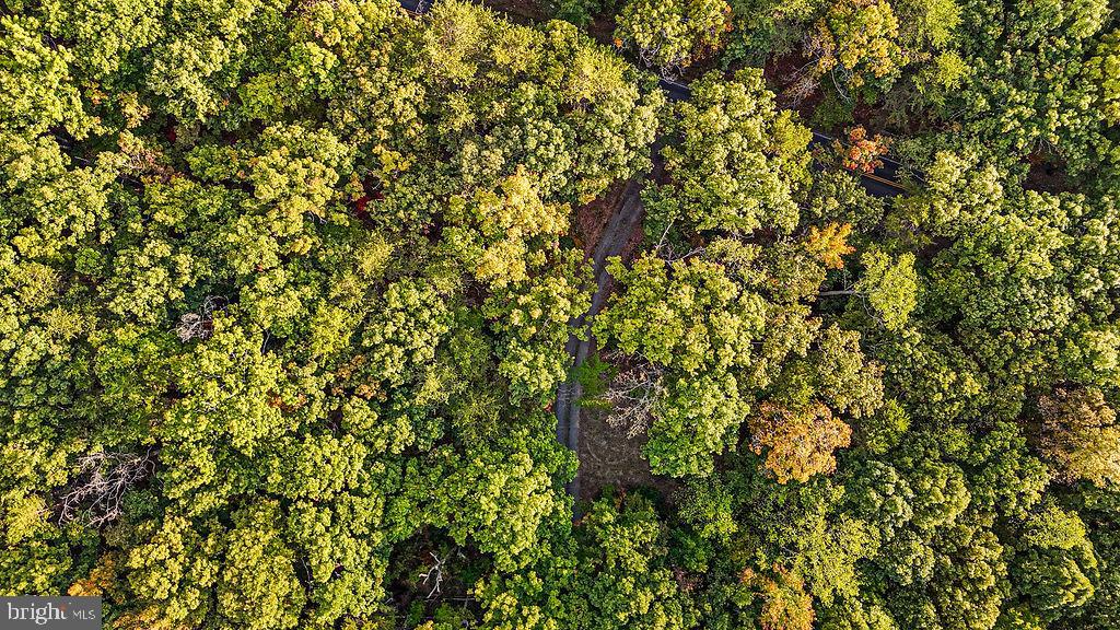 0 OLD PLANK RD, LOCUST GROVE, Virginia 22508, ,Land,For sale,0 OLD PLANK RD,VAOR2012528 MLS # VAOR2012528