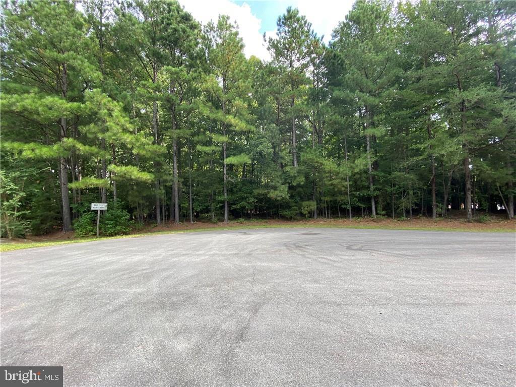 28-111T DMV DR, KILMARNOCK, Virginia 22482, ,Land,For sale,28-111T DMV DR,VALV2000900 MLS # VALV2000900 28-111T DMV DR, KILMARNOCK, Virginia 22482, ,Land,For sale,28-111T DMV DR,VALV2000900 MLS # VALV2000900