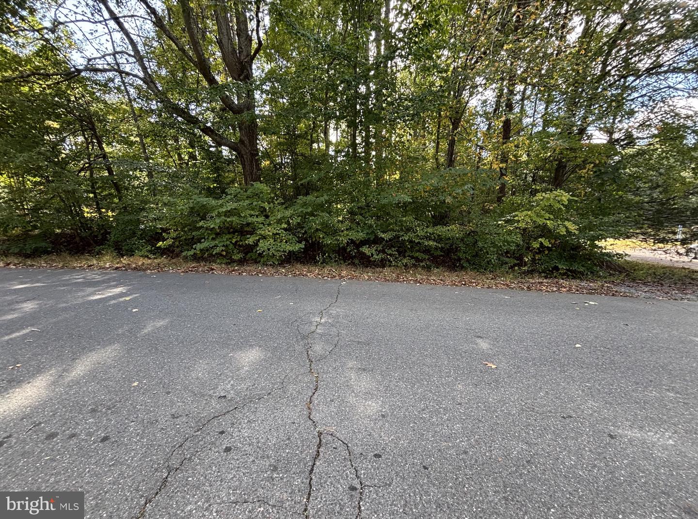 SPOTSYLVANIA, Virginia 22551, ,Land,For sale,VASP2037502 MLS # VASP2037502 SPOTSYLVANIA, Virginia 22551, ,Land,For sale,VASP2037502 MLS # VASP2037502