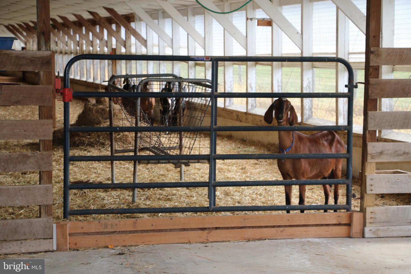 499 E LEE HWY, NEW MARKET, Virginia 22844, ,Farm,For sale,499 E LEE HWY,VASH2012988 MLS # VASH2012988 499 E LEE HWY, NEW MARKET, Virginia 22844, ,Farm,For sale,499 E LEE HWY,VASH2012988 MLS # VASH2012988