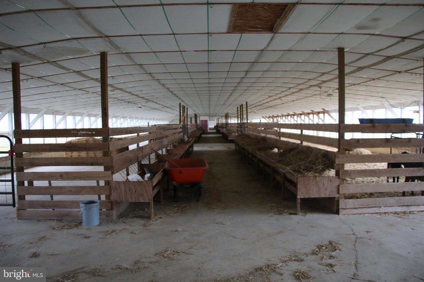 499 E LEE HWY, NEW MARKET, Virginia 22844, ,Farm,For sale,499 E LEE HWY,VASH2012988 MLS # VASH2012988 499 E LEE HWY, NEW MARKET, Virginia 22844, ,Farm,For sale,499 E LEE HWY,VASH2012988 MLS # VASH2012988