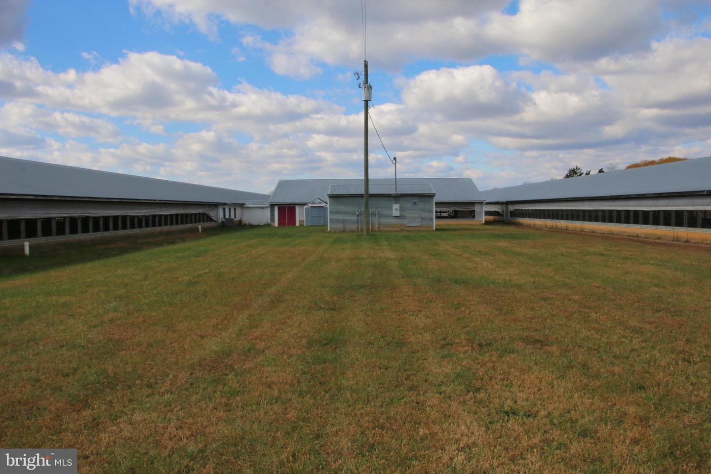 499 E LEE HWY, NEW MARKET, Virginia 22844, ,Farm,For sale,499 E LEE HWY,VASH2012988 MLS # VASH2012988 499 E LEE HWY, NEW MARKET, Virginia 22844, ,Farm,For sale,499 E LEE HWY,VASH2012988 MLS # VASH2012988