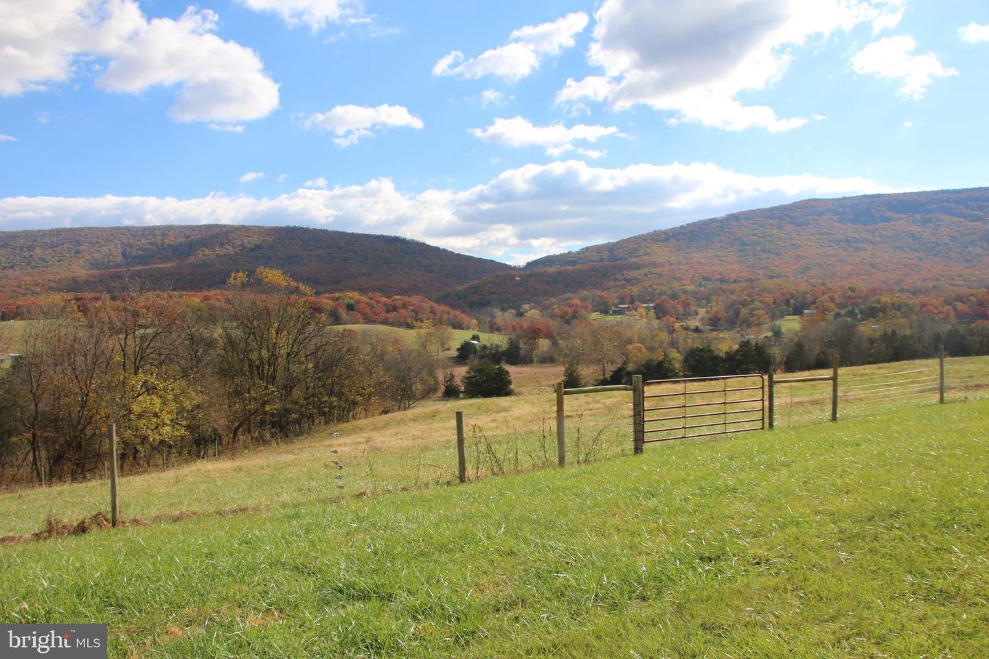 499 E LEE HWY, NEW MARKET, Virginia 22844, ,Farm,For sale,499 E LEE HWY,VASH2012988 MLS # VASH2012988 499 E LEE HWY, NEW MARKET, Virginia 22844, ,Farm,For sale,499 E LEE HWY,VASH2012988 MLS # VASH2012988