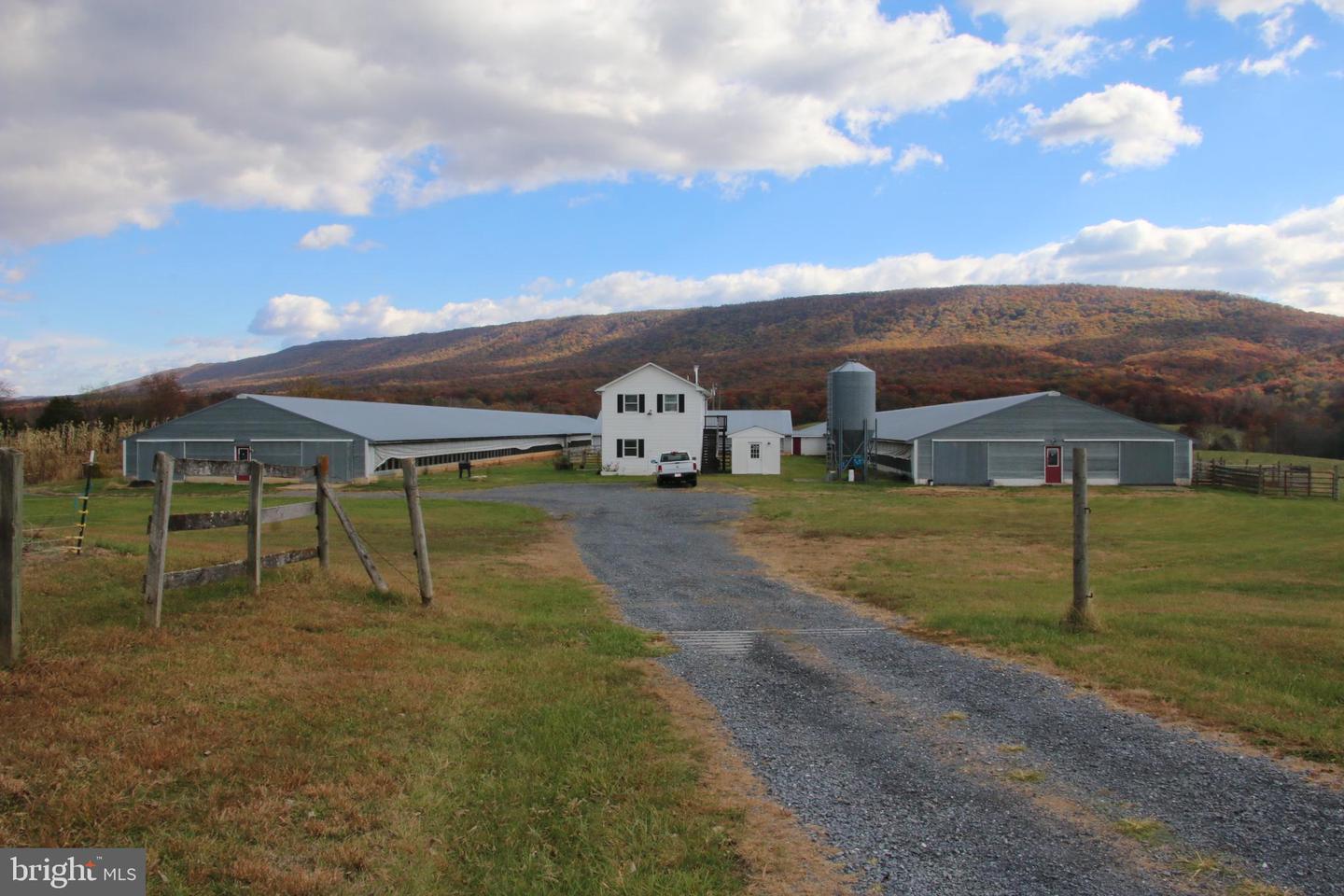 499 E LEE HWY, NEW MARKET, Virginia 22844, ,Farm,For sale,499 E LEE HWY,VASH2012988 MLS # VASH2012988 499 E LEE HWY, NEW MARKET, Virginia 22844, ,Farm,For sale,499 E LEE HWY,VASH2012988 MLS # VASH2012988