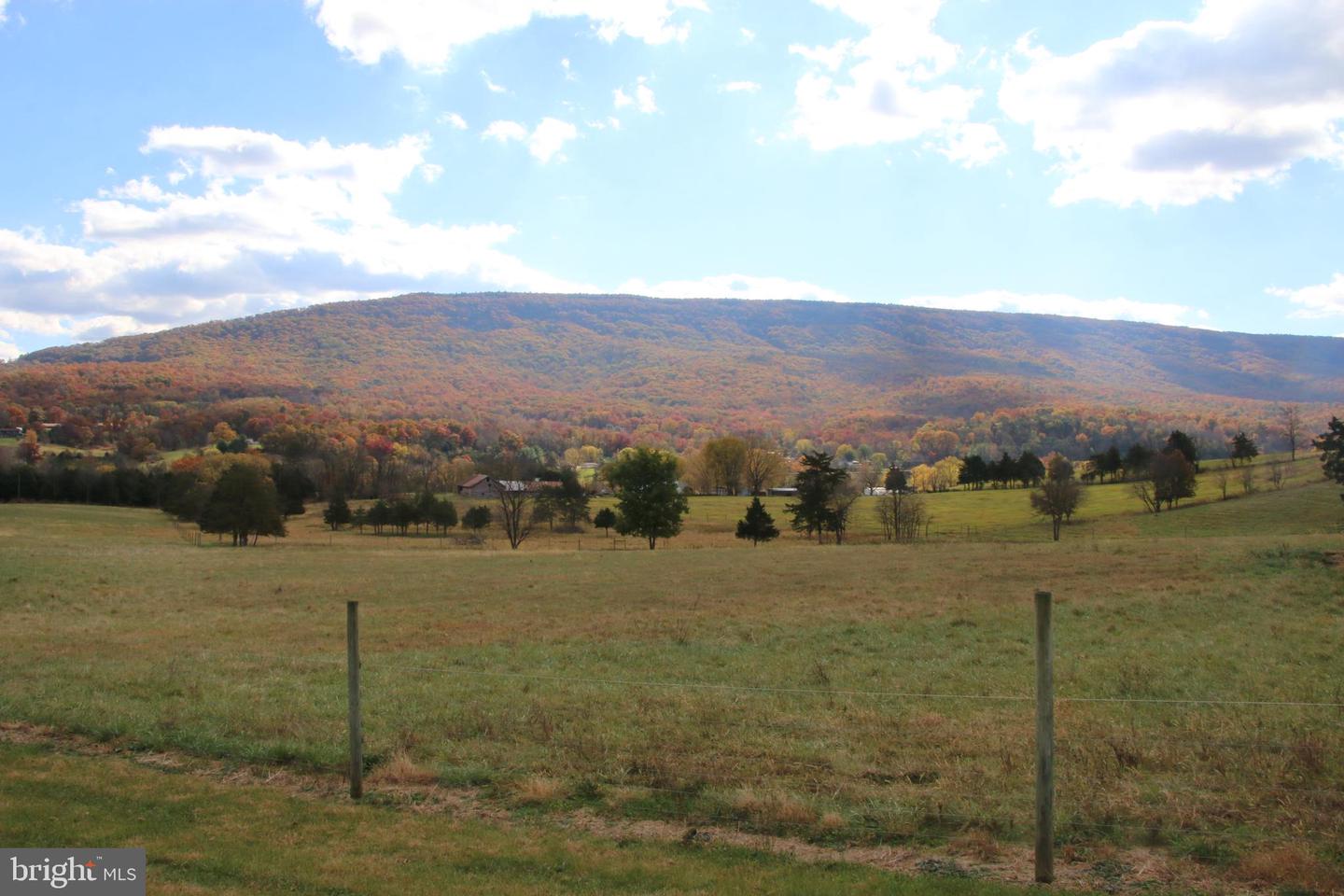 499 E LEE HWY, NEW MARKET, Virginia 22844, ,Farm,For sale,499 E LEE HWY,VASH2012988 MLS # VASH2012988 499 E LEE HWY, NEW MARKET, Virginia 22844, ,Farm,For sale,499 E LEE HWY,VASH2012988 MLS # VASH2012988