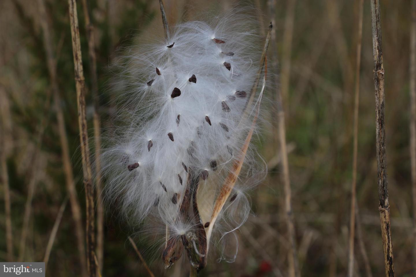 499 E LEE HWY, NEW MARKET, Virginia 22844, ,Farm,For sale,499 E LEE HWY,VASH2012988 MLS # VASH2012988 499 E LEE HWY, NEW MARKET, Virginia 22844, ,Farm,For sale,499 E LEE HWY,VASH2012988 MLS # VASH2012988