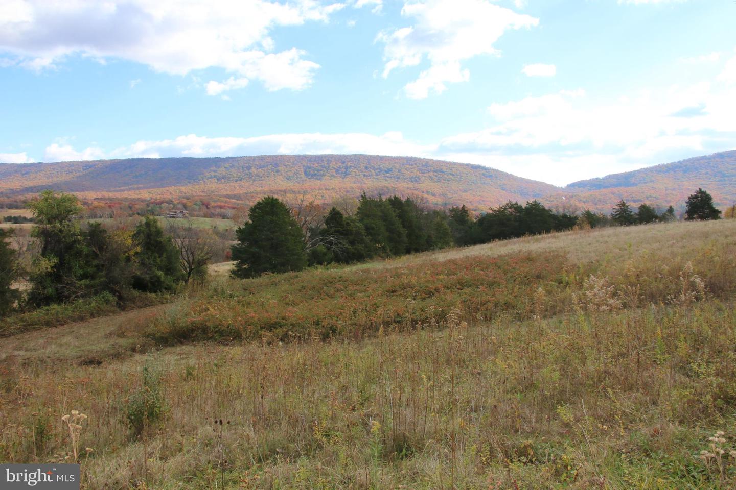 499 E LEE HWY, NEW MARKET, Virginia 22844, ,Farm,For sale,499 E LEE HWY,VASH2012988 MLS # VASH2012988 499 E LEE HWY, NEW MARKET, Virginia 22844, ,Farm,For sale,499 E LEE HWY,VASH2012988 MLS # VASH2012988