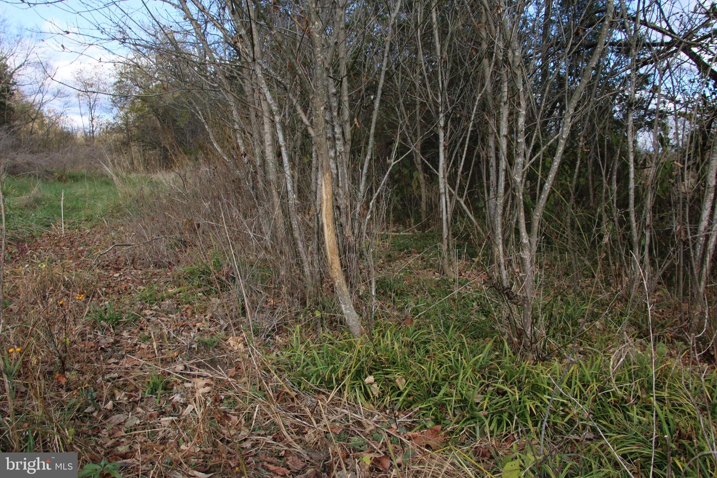 499 E LEE HWY, NEW MARKET, Virginia 22844, ,Farm,For sale,499 E LEE HWY,VASH2012988 MLS # VASH2012988 499 E LEE HWY, NEW MARKET, Virginia 22844, ,Farm,For sale,499 E LEE HWY,VASH2012988 MLS # VASH2012988