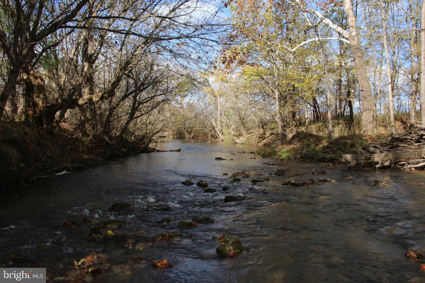 499 E LEE HWY, NEW MARKET, Virginia 22844, ,Farm,For sale,499 E LEE HWY,VASH2012988 MLS # VASH2012988 499 E LEE HWY, NEW MARKET, Virginia 22844, ,Farm,For sale,499 E LEE HWY,VASH2012988 MLS # VASH2012988