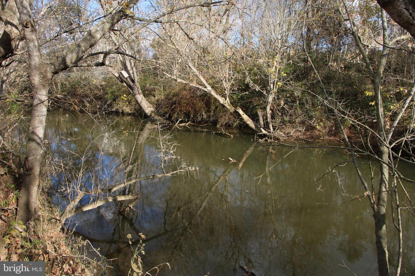 499 E LEE HWY, NEW MARKET, Virginia 22844, ,Farm,For sale,499 E LEE HWY,VASH2012988 MLS # VASH2012988 499 E LEE HWY, NEW MARKET, Virginia 22844, ,Farm,For sale,499 E LEE HWY,VASH2012988 MLS # VASH2012988