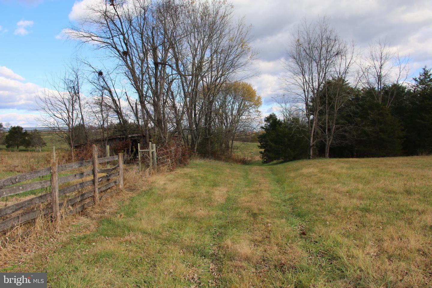 499 E LEE HWY, NEW MARKET, Virginia 22844, ,Farm,For sale,499 E LEE HWY,VASH2012988 MLS # VASH2012988 499 E LEE HWY, NEW MARKET, Virginia 22844, ,Farm,For sale,499 E LEE HWY,VASH2012988 MLS # VASH2012988