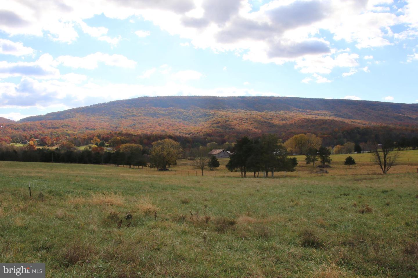 499 E LEE HWY, NEW MARKET, Virginia 22844, ,Farm,For sale,499 E LEE HWY,VASH2012988 MLS # VASH2012988 499 E LEE HWY, NEW MARKET, Virginia 22844, ,Farm,For sale,499 E LEE HWY,VASH2012988 MLS # VASH2012988