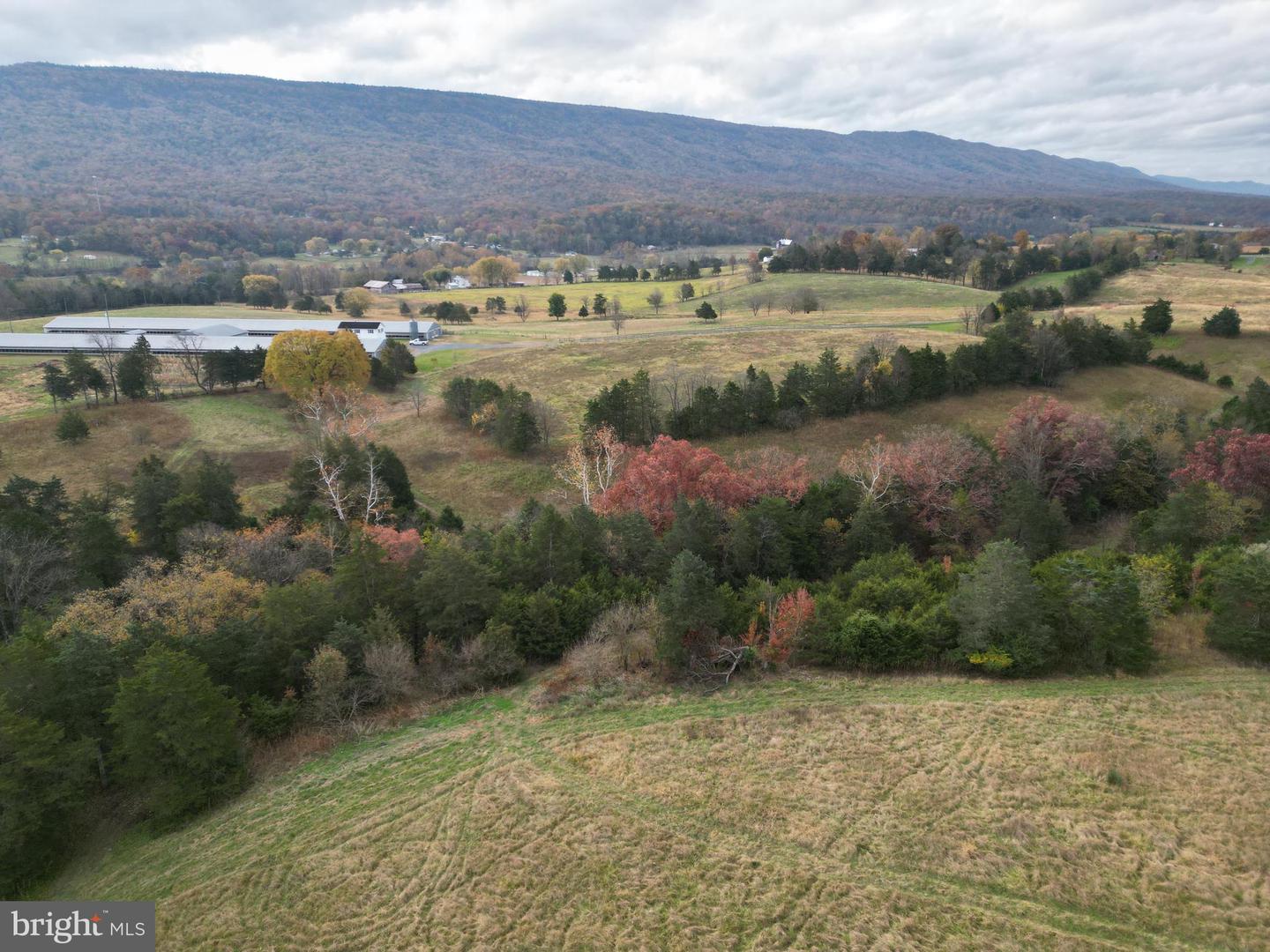 499 E LEE HWY, NEW MARKET, Virginia 22844, ,Farm,For sale,499 E LEE HWY,VASH2012988 MLS # VASH2012988 499 E LEE HWY, NEW MARKET, Virginia 22844, ,Farm,For sale,499 E LEE HWY,VASH2012988 MLS # VASH2012988