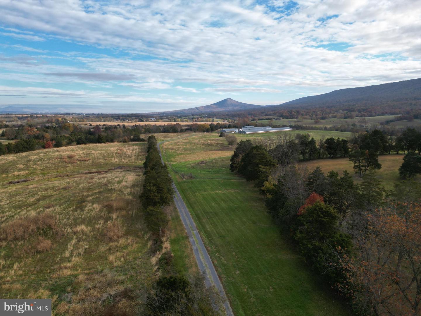 499 E LEE HWY, NEW MARKET, Virginia 22844, ,Farm,For sale,499 E LEE HWY,VASH2012988 MLS # VASH2012988 499 E LEE HWY, NEW MARKET, Virginia 22844, ,Farm,For sale,499 E LEE HWY,VASH2012988 MLS # VASH2012988