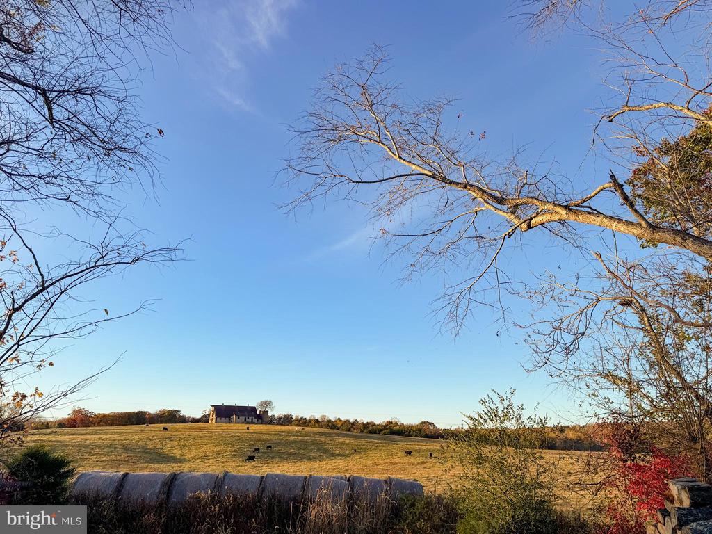 9195 WHITE SHOP, CULPEPER, Virginia 22701, 3 Bedrooms Bedrooms, ,2 BathroomsBathrooms,Residential,9195 WHITE SHOP,VACU2011206 MLS # VACU2011206 9195 WHITE SHOP, CULPEPER, Virginia 22701, 3 Bedrooms Bedrooms, ,2 BathroomsBathrooms,Residential,9195 WHITE SHOP,VACU2011206 MLS # VACU2011206