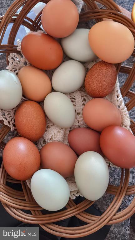 9195 WHITE SHOP, CULPEPER, Virginia 22701, 3 Bedrooms Bedrooms, ,2 BathroomsBathrooms,Residential,9195 WHITE SHOP,VACU2011206 MLS # VACU2011206 9195 WHITE SHOP, CULPEPER, Virginia 22701, 3 Bedrooms Bedrooms, ,2 BathroomsBathrooms,Residential,9195 WHITE SHOP,VACU2011206 MLS # VACU2011206