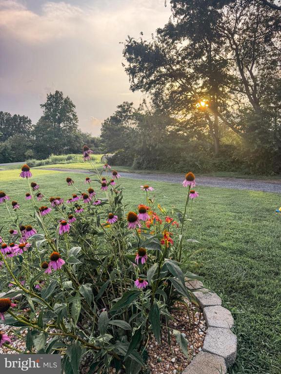 9195 WHITE SHOP, CULPEPER, Virginia 22701, 3 Bedrooms Bedrooms, ,2 BathroomsBathrooms,Residential,9195 WHITE SHOP,VACU2011206 MLS # VACU2011206 9195 WHITE SHOP, CULPEPER, Virginia 22701, 3 Bedrooms Bedrooms, ,2 BathroomsBathrooms,Residential,9195 WHITE SHOP,VACU2011206 MLS # VACU2011206