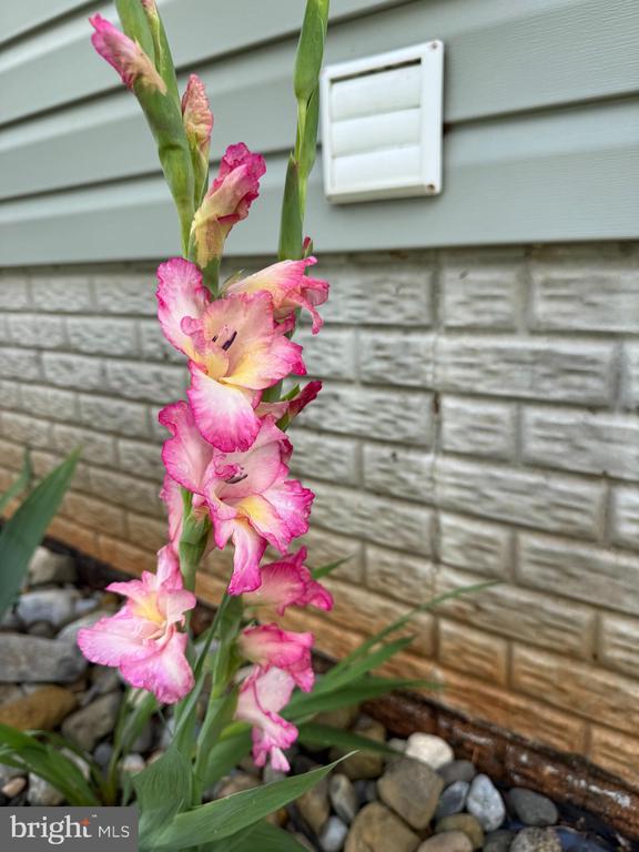 9195 WHITE SHOP, CULPEPER, Virginia 22701, 3 Bedrooms Bedrooms, ,2 BathroomsBathrooms,Residential,9195 WHITE SHOP,VACU2011206 MLS # VACU2011206 9195 WHITE SHOP, CULPEPER, Virginia 22701, 3 Bedrooms Bedrooms, ,2 BathroomsBathrooms,Residential,9195 WHITE SHOP,VACU2011206 MLS # VACU2011206